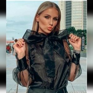 Zara Organza Blouse With Tie